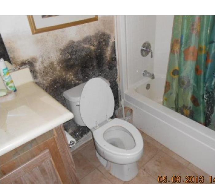 Mold behind a toilet