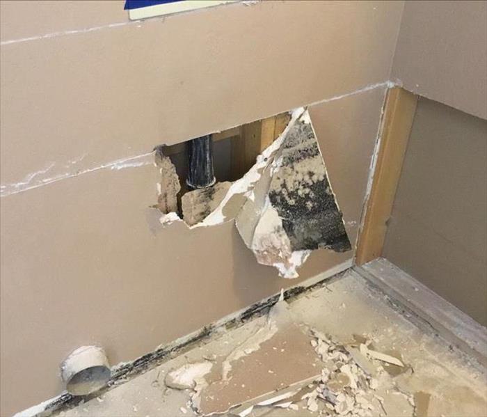 Mold growth behind drywall in a Yavapai County home