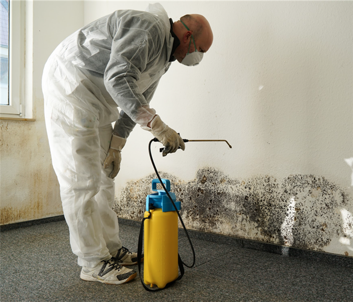 Specialist in PPE combating mold in an apartment in Prescott Valley, AZ